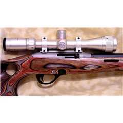 • Remington 597 Jacaranda Target Limited Edition •